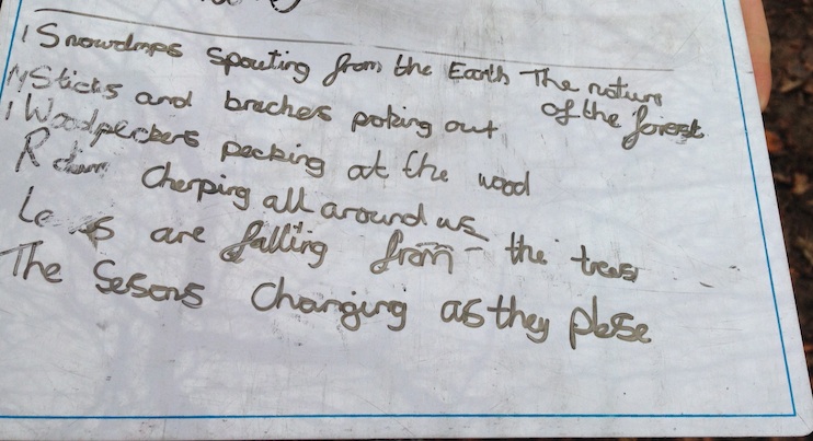 forest performance copy