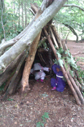 den building