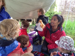 debbie feedback session